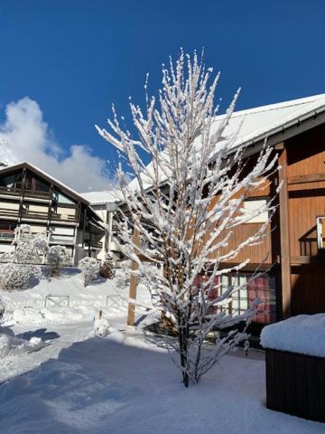 Apartamento Les Combettes Les Contamines-Montjoie Exterior foto